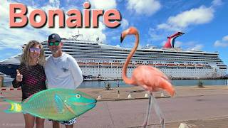 Bonaire Cruise Port Tour, South Island Tour & Snorkeling Diver's Paradise Caribbean Island #Cruising