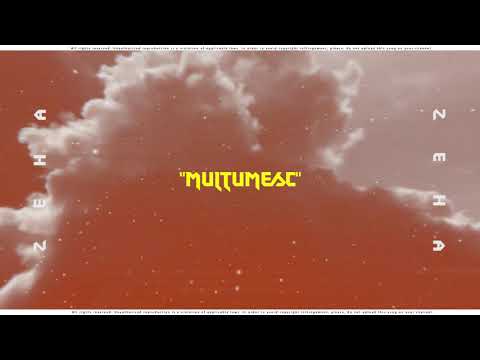 ZEHA x Multumesc (Prod. noway)