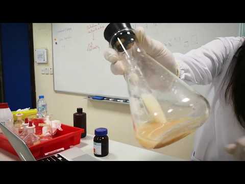 Law of conservation of mass: demonstration