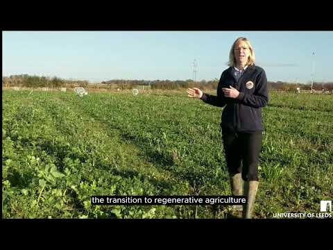 Regenerative agriculture trial at the University of Leeds Research Farm