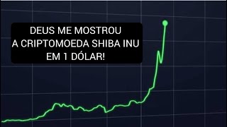 DEUS ME MOSTROU A SHIBA INU EM 1 DÓLAR E O FLASH CRASH PARA ZERO!