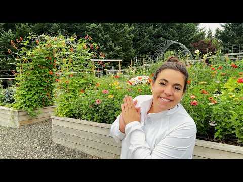 A Dream Come True! Full August Garden Tour