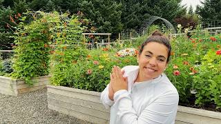 A Dream Come True! Full August Garden Tour