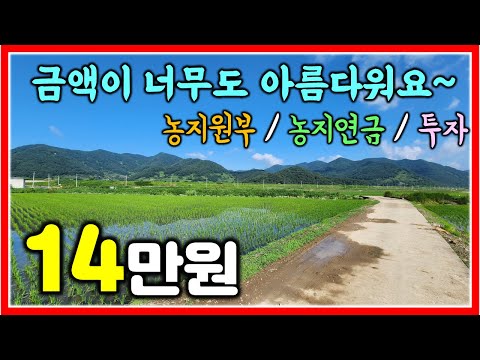 위치 좋고 저렴한 밀양 초동면 급매 논 매매 3278㎡ (992평) #밀양땅 #밀양논 #창원북면논 #창원동읍논 #밀양비닐하우스 #밀양농지원부 #밀양농지연금