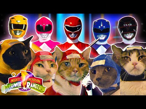 Mighty Morphin Meower Rangers: why Power Ranger fans HATE it!