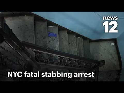 Arrest made in fatal stabbing of Bronx mother | News 12