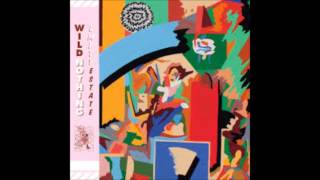 Wild Nothing - A Dancing Shell