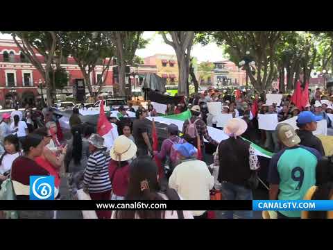 Video: Poblanos se unen al apoyo a Palestina con cadena humana