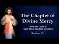 The Chaplet Of Divine Mercy From The Diary Of St Faustina Kowalska Jesus I Trust In You
