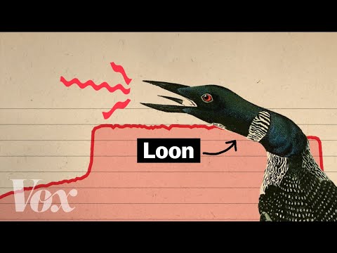You've Heard This Bird Call In Hundreds Of Movies. Here's Why Hollywood Can't Get Enough