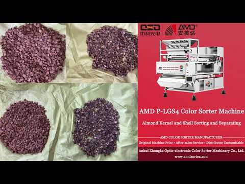 AMD (P-LGS4) Almonds Nuts Color Sorter Machine Price for Apricot Nuts Kernel and Shell Sorting