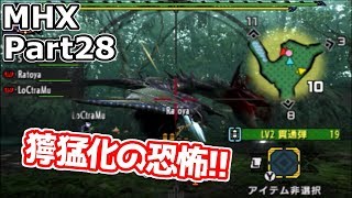 Part28仲間なんていない。モンスターハンタークロス実況