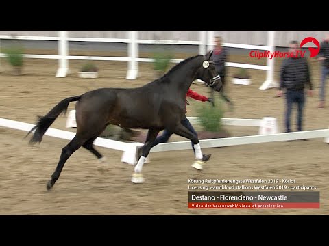 Hengst v.  Destano - Florenciano - Newcastle