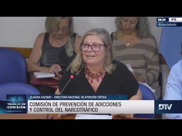 Diputados: organizaciones y expertos discutieron la situación actual de la ley sobre salud mental