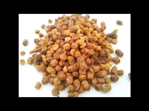 Wideo prezentacja pierzgi