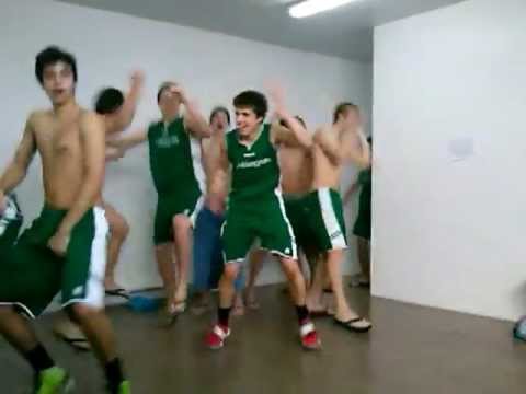 Pas Pielagos Cadete - Harlem Shake!!!!!