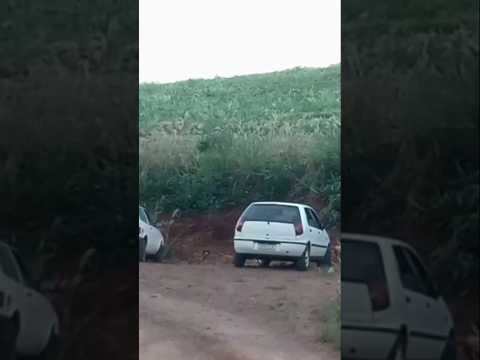 achamos um lugar lindo na divisa de marmeleiro e Francisco Beltrão Paraná #AVENTURA#pesca