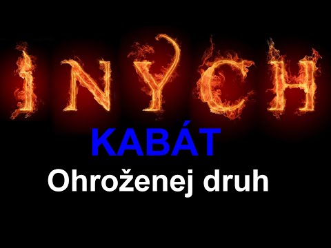 INYCH - Ohroženej druh ( cover ) - Kabát