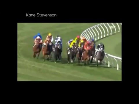 Preferment - TURNBULL STAKES 2015