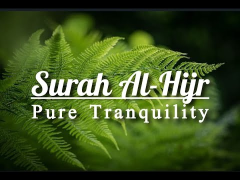 Surah Al-Hijr || Pure Tranquility || Omar Hisham Al Arabi || #QuranRecitation