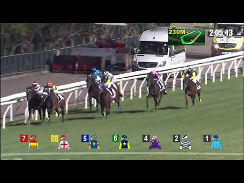 1/12/2021 (215) Awe - Z Purton