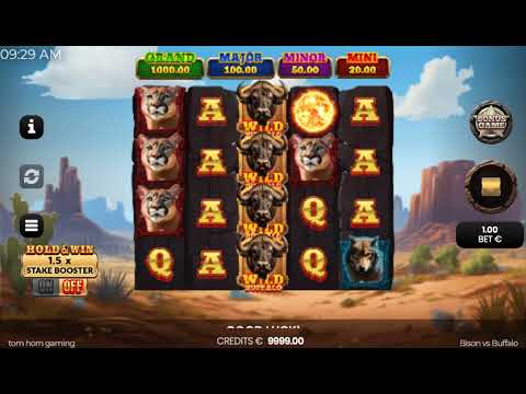 Bison vs Buffalo – Video Gameplay