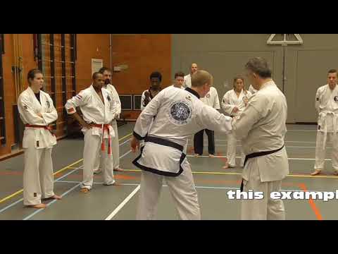 morote uke Bunkai Strategies 2020 week 19 koryu karate oyo jutsu