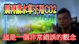 [問題] 不知為何水草養不太起來