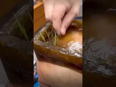 Arika ne Ye Kya Dekh Liya #funny #sister #comedy #entertainment #shorts #trending #funnyvideo #fun