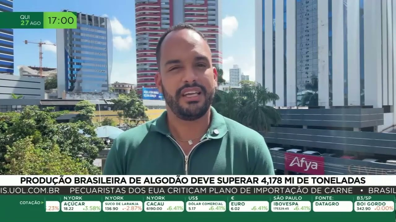 Produção brasileira de algodão deve superar 4,178 mi de toneladas