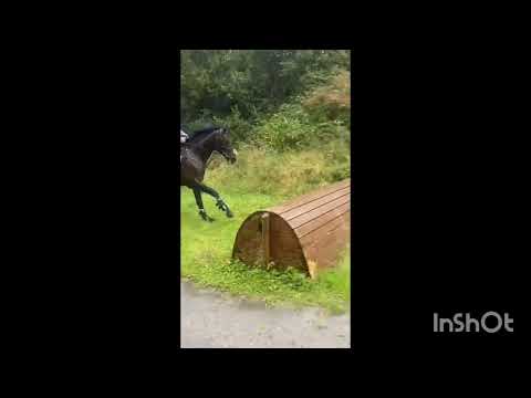 Skydie (Master Imp X SkyBoy X Bastion)