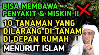 Download lagu HATI-HATI !! INILAH 10 TANAMAN YANG DILARANG DITANAM DIDEPAN RUMAH MENURUT ISLAM mp3