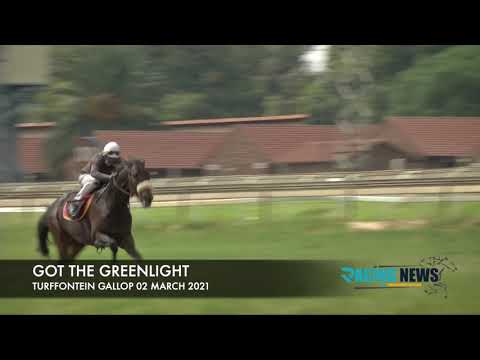 GOT THE GREENLIGHT GALLOP