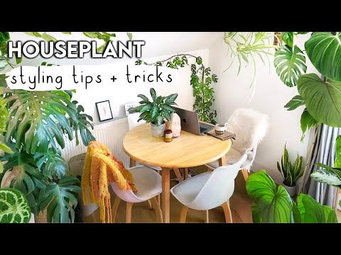 Amazing Plant Styling TIPS + TRICKS To Jungle-fy Your Home 🌿