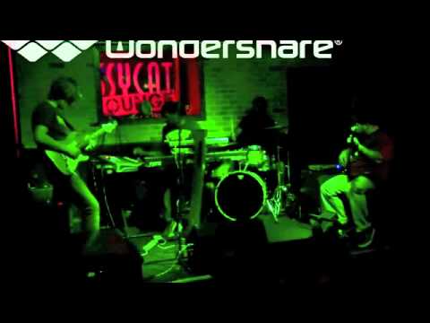 The Funky Knuckles  "Next 1"