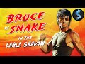 Kung Fu Full Movie Bruce Vs Snake In The Eagle S Shadow