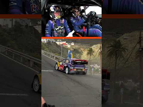 A perfect hairpin 💨