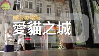 【呱吉】呱寂寥電影：愛貓之城