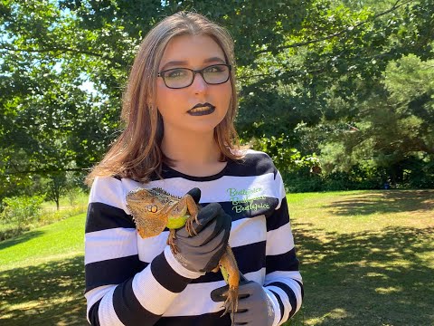 Video thumbnail DVJzc2J3REw