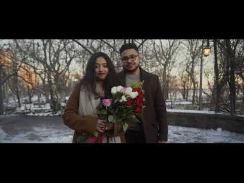 Salauddin and Raima Engagement Video - Toronto Music Garden Proposal