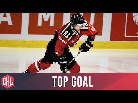 Ryan Lasch - Frölunda Indians | Top Goal 2015/16