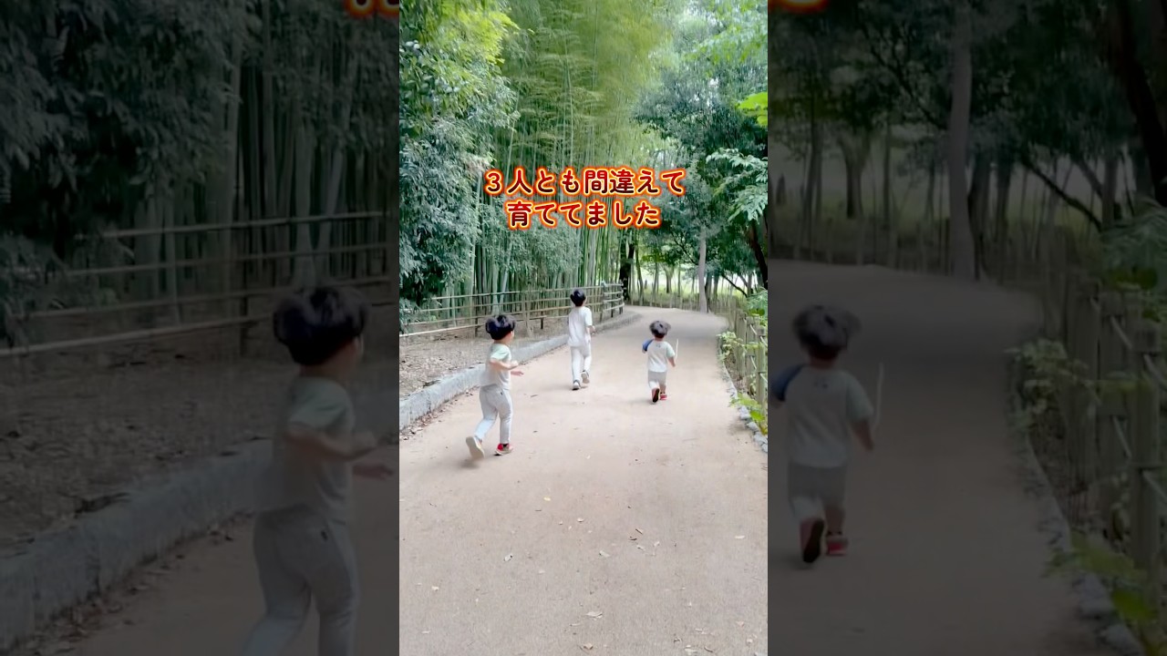 【SNSで衝撃💥】プーメリーの裏ワザ５選🐻