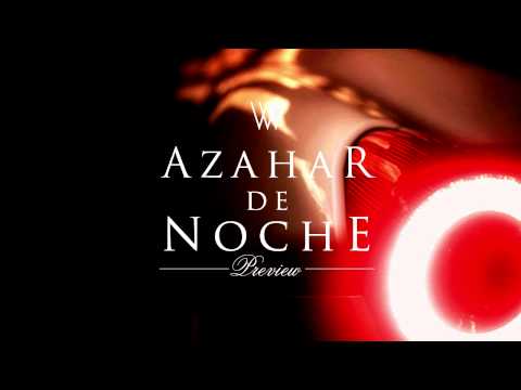 Azahar De Noche [Evening mix] Snippit - DJ Will Vega Chill Hip-Hop