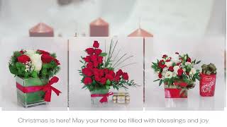 Christmas Flowers Gifts in an Array of Colors, Shapes and Sizes