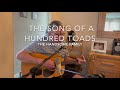The song of a hundred toads - The Handsome Family (Cover by Peter Mulholland)