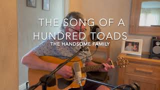 The song of a hundred toads - The Handsome Family (Cover by Peter Mulholland)