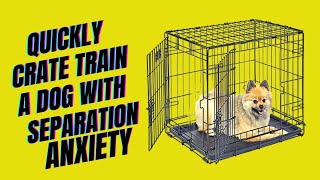 How to Quickly Crate Train a Dog with Separation Anxiety
