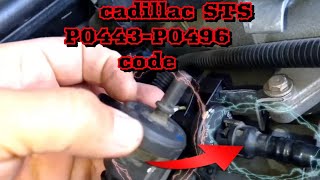 2008 cadillac sts 3.6 Codigo P0443 P0496 code