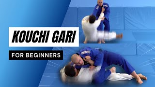 Ko Uchi Gari - Beginners Guide