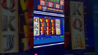 The Wild Life VLT SLOT - $2.50 Bet Bonus! Big win | He put only $20bucks and got the 10 Spin Bonus!